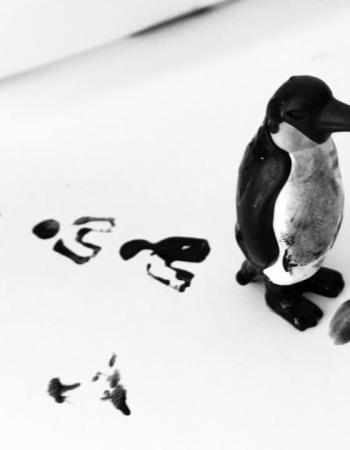 decouverte-peinture-noire-animaux