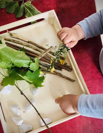 plateau-nature-babilou-2