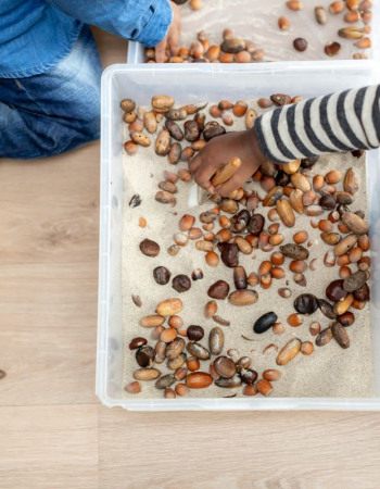 activite-enfant-bac-sensoriel-babilou