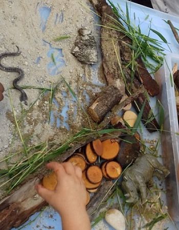 Activité-nature-animaux-Babilouu