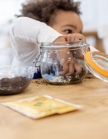 Atelier nature - arrosage de lentilles - Babilou