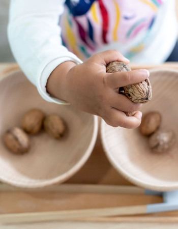 Babilou-fruits-saison