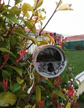 Cabane oiseau - Babilou