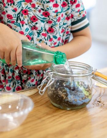 Multiplication végétative - Activité Babilou