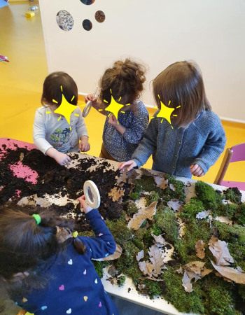 Observation d'insectes - Babilou