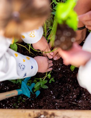 Premiers gestes bébé babilou1
