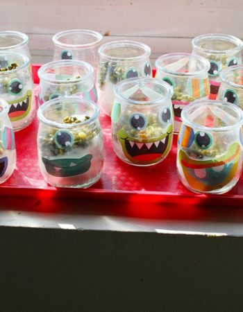 1 - Activité lentilles - pots monstres - Babilou