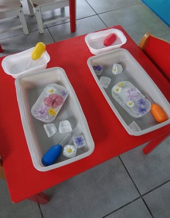 activité-glacons-de-fleurs-Babilou