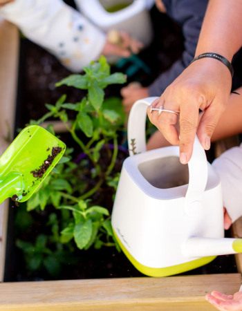 prendre soin des plantes_babilou