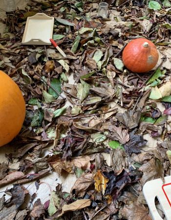 Provocation à la nature avec un sol tapissé de feuilles mortes