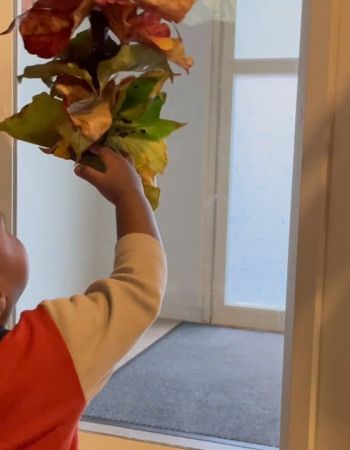 1-Immersion-nature-creche-babilou-les-portes-de-rosny