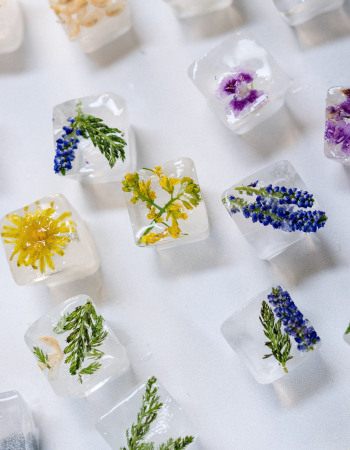 bac sensoriel avec des glaçons et des éléments naturels