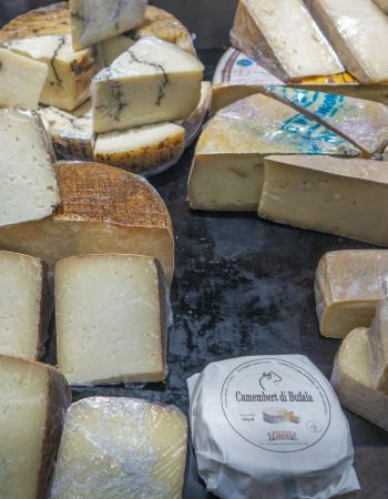 Photo de différents fromages