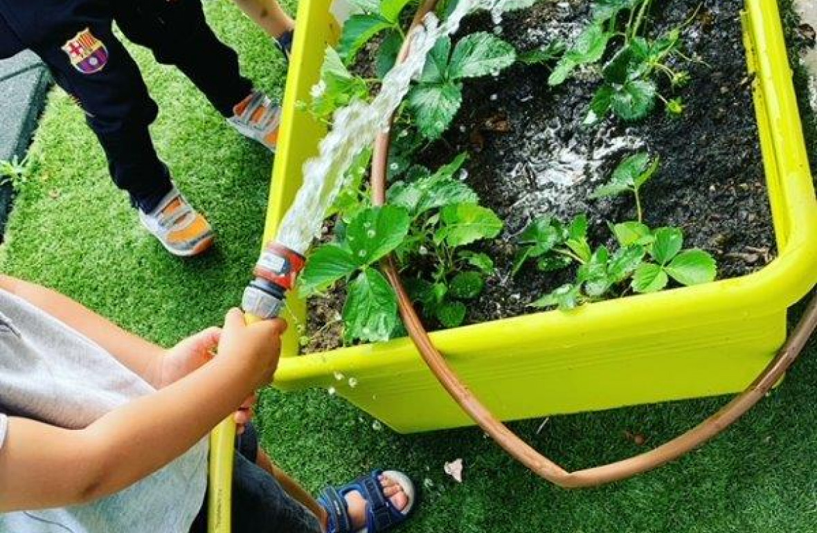 Arrosage de plantes par les tout-petits de la crèche Babilou Toulouse Bayonne