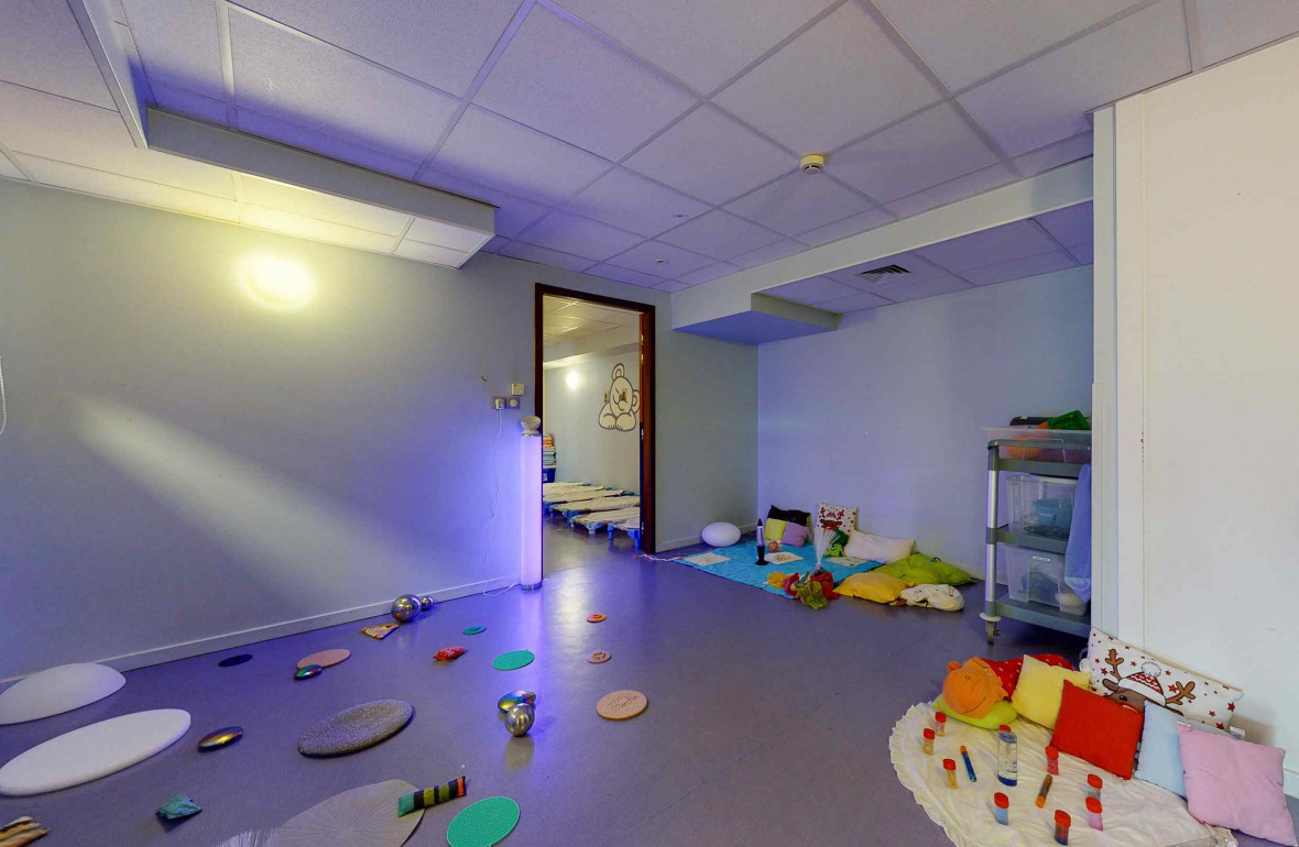 150 - Saint-Priest Les lionceaux 11