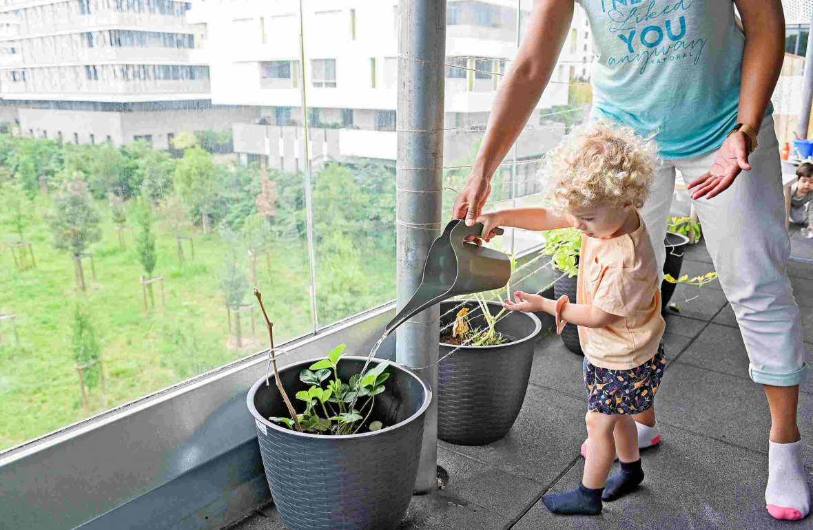 581 - Babilou Montpellier Nuage petit garçon qui arrose les plantes