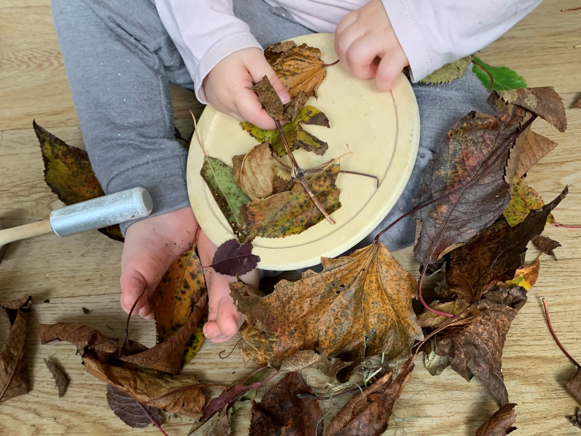 Manipulation d'une assiette et de feuilles mortes par un enfant