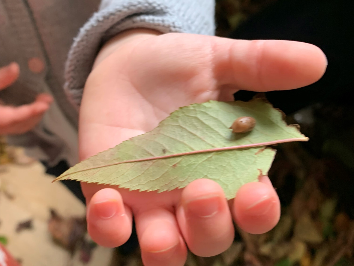 Manipulation d'une feuille par un enfant