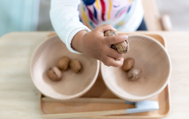 Babilou-fruits-saison