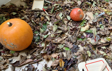 Provocation à la nature avec un sol tapissé de feuilles mortes