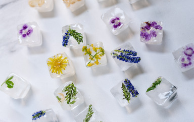 bac sensoriel avec des glaçons et des éléments naturels