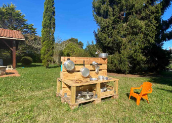 Plantine-Saint-Andre-1-Babilou