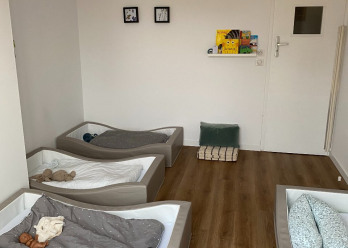 Plantine-Saint-Andre-3-Babilou