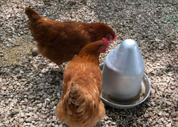 The-Baby-Home-Montferrier-sur-Lez-1-Babilou