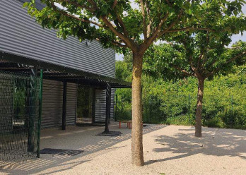 Grabouilles-Sud-Valence-2-Babilou