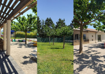 Grabouilles-Valence-3-Babilou