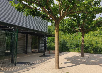 Grabouilles-Croisiere-Valence-3-Babilou