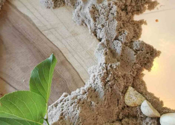 Des jouets en forme de dinosaures mis en scène avec du sable et des feuilles