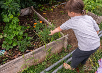 347-Babilou-Toulouse-Bonnefoy-16