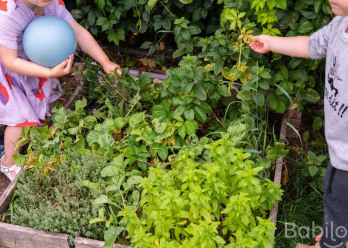 347-Babilou-Toulouse-Bonnefoy-20