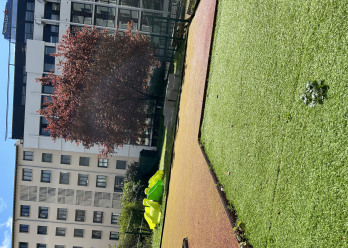 Espace de jeux extérieur au sein de la crèche Babilou Lyon Favre