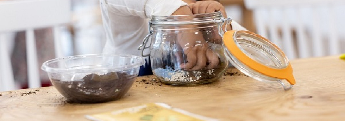 Atelier nature - arrosage de lentilles - Babilou