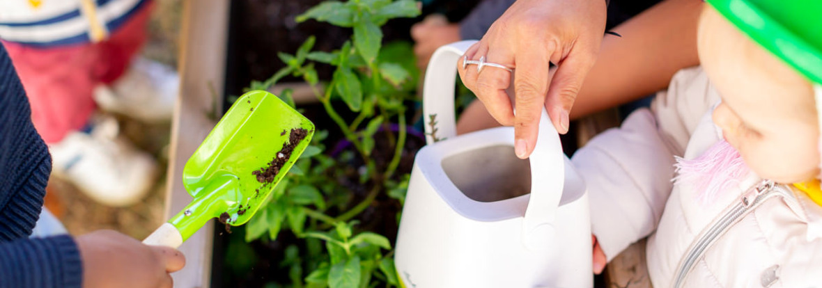 prendre soin des plantes_babilou