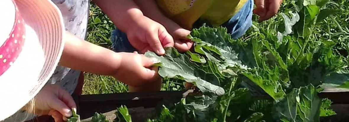 nature-creche-babilou-poilley-vallee_image3_babilou