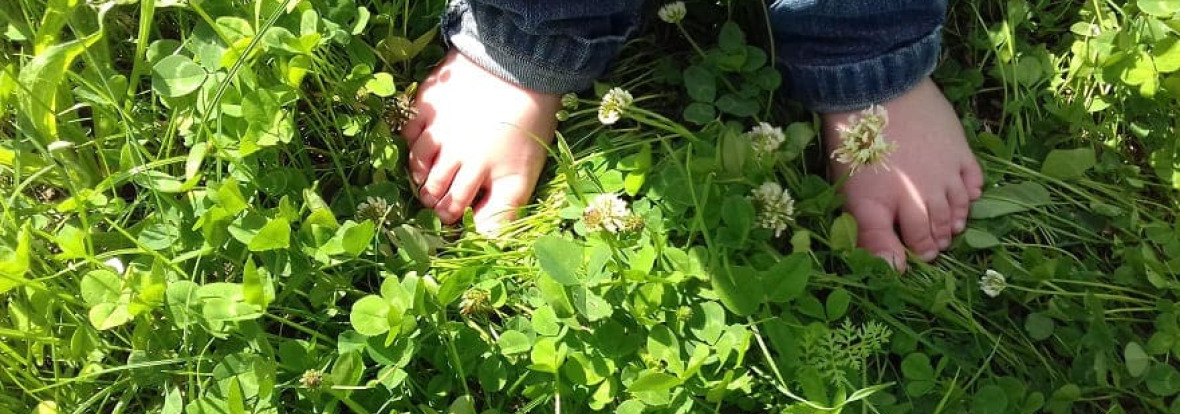 nature-creche-babilou-poilley-vallee_image1_babilou