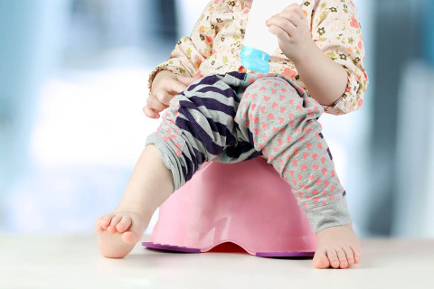 Apprentissage De La Proprete Chez L Enfant Une Grande Etape Babilou