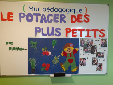 Mur-pedagogique-potager-Babilou-Meudon-Rivoli-2