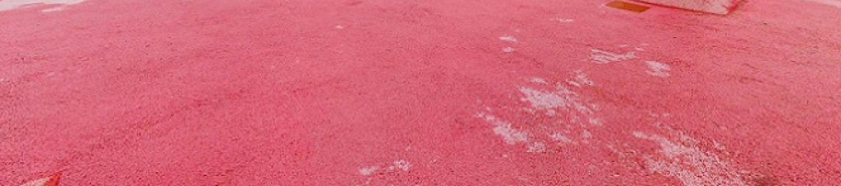 119-Creche Babilou Boulogne Forum (13)