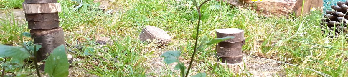 Espace potager au sein de la crèche Babilou Montevrain Dublin