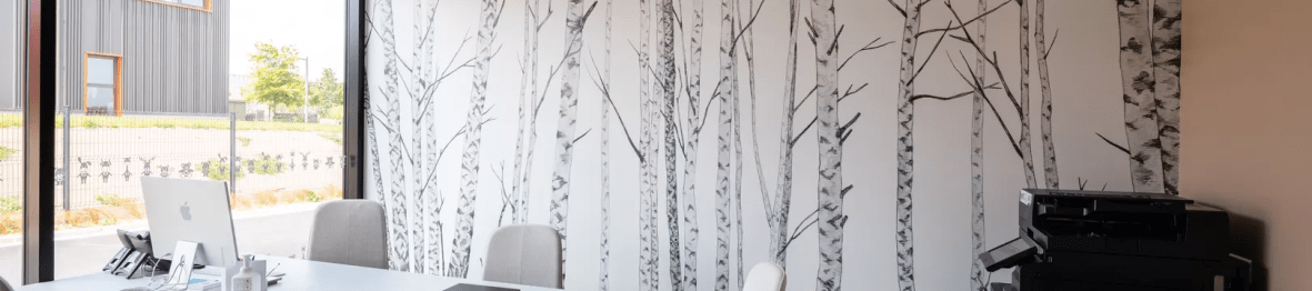 pimpampomme saint-lo BUREAU-DIRECTRICE