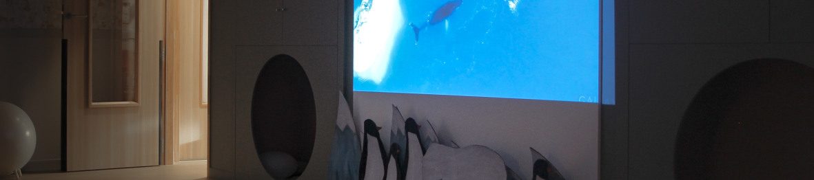 Diffusion d'un dessin animé au sein de la crèche Babilou Lezennes Moulin