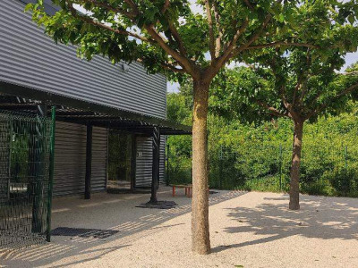 Grabouilles-Sud-Valence-2-Babilou