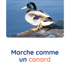 motricite-animaux-canard-babilou