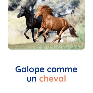 motricite-animaux-cheval-babilou