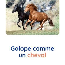 motricite-animaux-cheval-babilou