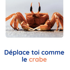 motricite-animaux-crabe-babilou